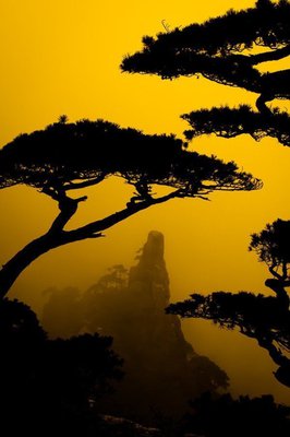最新的君子以泽的名言名句