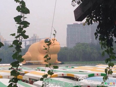 最经典的《骄阳似我》经典语句大全