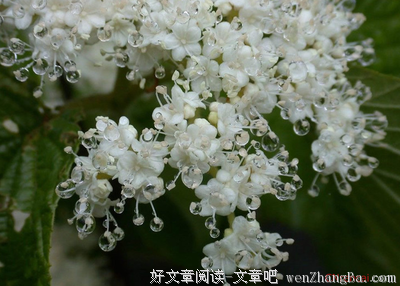 描写感同身受的经典句子