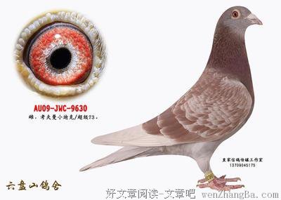 迪克的名人名言