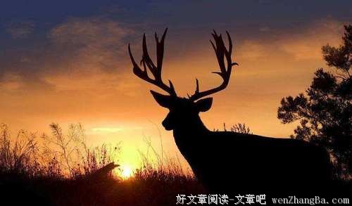 用细节去判断一个人？你太天真了
