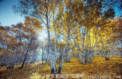 “我们之间唯一的默契，是彼此不联系。”