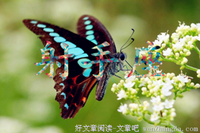 和射手座谈恋爱是什么体验感