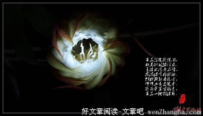 花秋月的语句摘抄_关于花秋月的语句