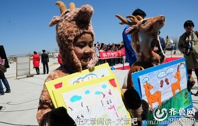 2017鹿满川的名言名句