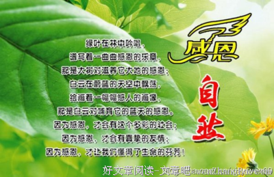 关于随遇而安名言名句