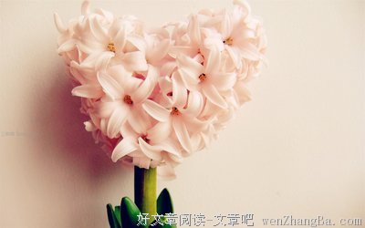 绝对的名句_关于绝对的名句