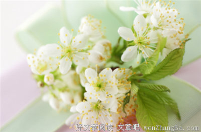 一板一眼的语句摘抄_关于一板一眼的语句