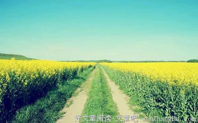 关于大胆的唯美语录