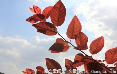 最经典的《重生之锦绣嫡女》经典的句子