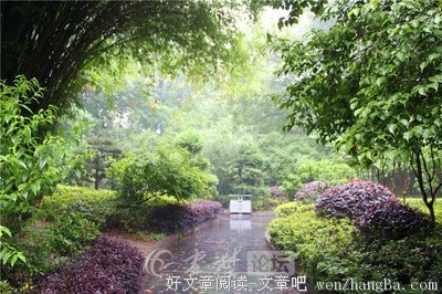 空瓶子 | 雨的变奏