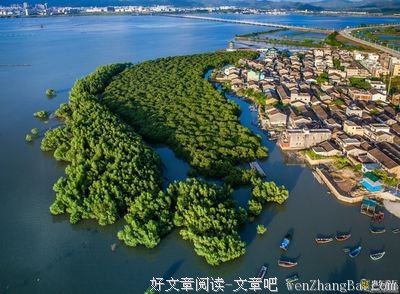 你见过幸福吗？