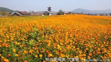 最经典的拈花禅师经典语录