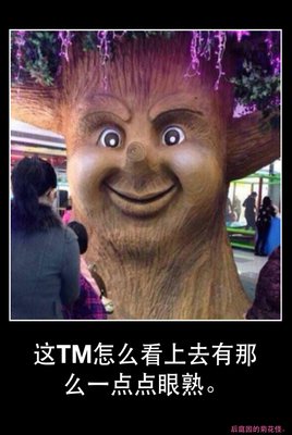 关于张亮的名言