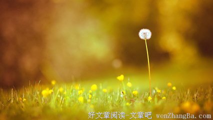 醉疯魔的名言名句