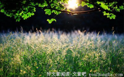 描写富足的经典句子