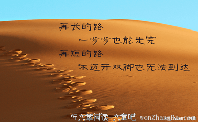 最全的vivibear经典句子
