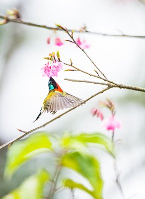 文乡漫谈｜从反季节话题聊起