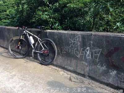 听说你测了个假脑子？去他的专家！