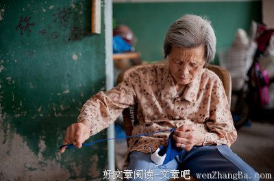 缝中的生活