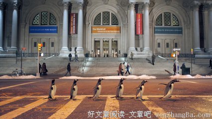 最新的橘鱼月经典句子
