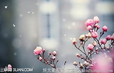 南康白起经典语录