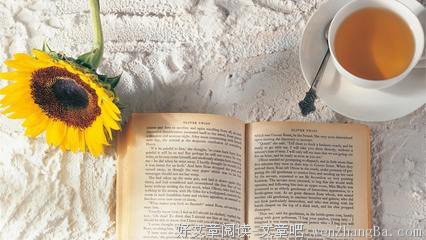 描写和煦的经典句子