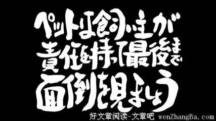 最经典的《银魂》名句欣赏大全