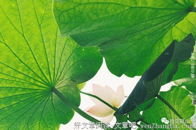 「“別撩那些爱删朋友圈的女生”」