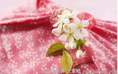 最经典的《老炮儿》语录摘抄大全