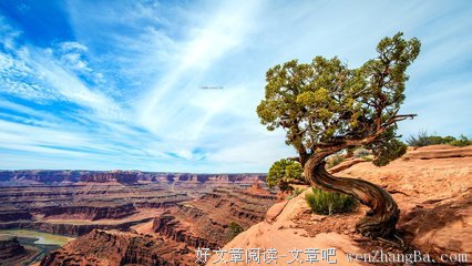最全的《沉默的大多数》经典名句大全