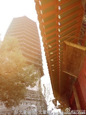 今日农历九月初九《恭迎消灾延寿药师佛节日》卍