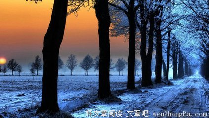 跟小约翰一起读但以理书01 | 活出至高者的国（但以理书1-4章）