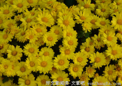 九九重阳，九大习俗，九种祝愿