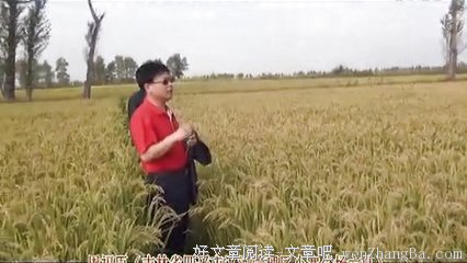 这种情绪，才是真正的谋杀者 |周小宽