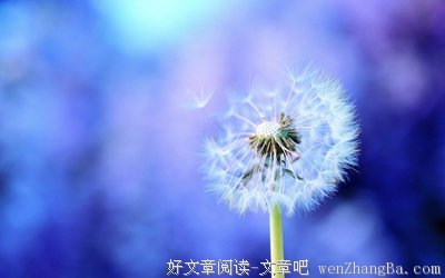 关于回公的语句