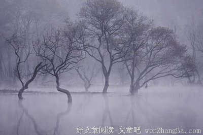 最全的《不朽》经典语录