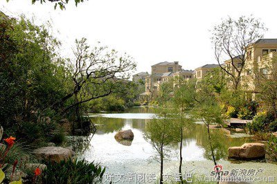 最经典的《九五至尊》经典语句