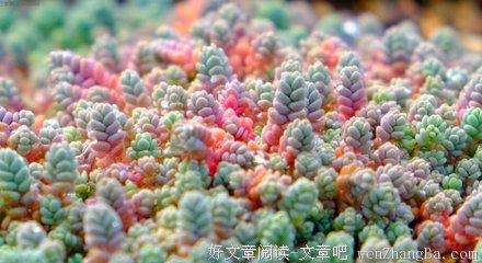 最新的《触摸世界》经典语录大全