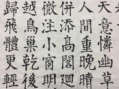 郑老师说诗 || 寂寞里的挣扎——李商隐《花下醉》品读