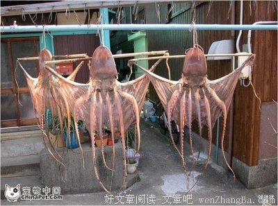 去你MD，老子从来都不缺！”，每次事后我点燃一根烟，都这样想…