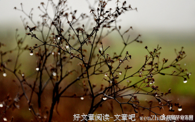 描写精力充沛的语句摘抄
