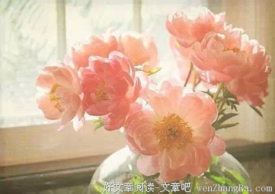 曹文轩的句子