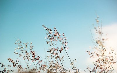 关于心心的唯美语录
