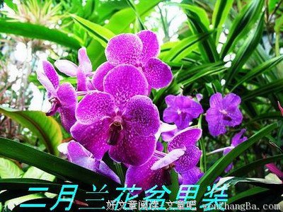 最新的《仙剑奇侠传六》佳句摘抄
