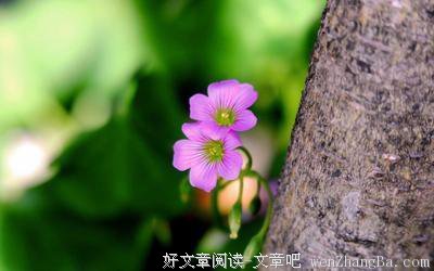 《初晨，是我故意忘记你2》名句欣赏大全