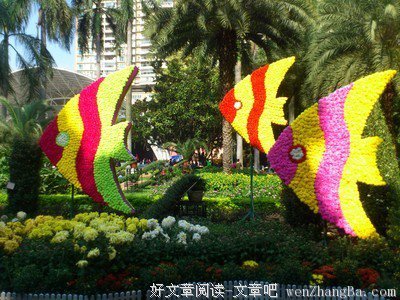 纯音乐 |《菊花》琴笙应和西风劲，菊韵心曲诉不休