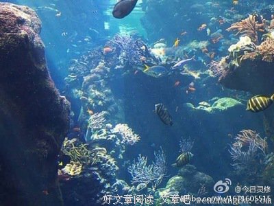 【每日灵修】神所怀的是赐平安意念