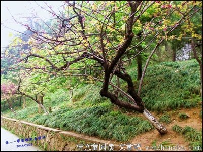 小巷子里的小生活