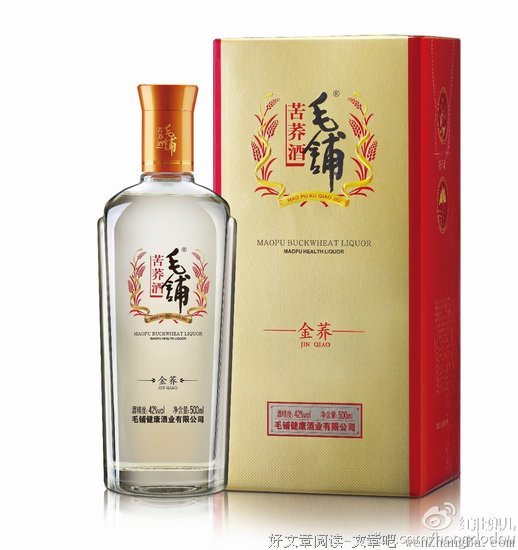 我是个好人，至今没有嘲讽过中年人。